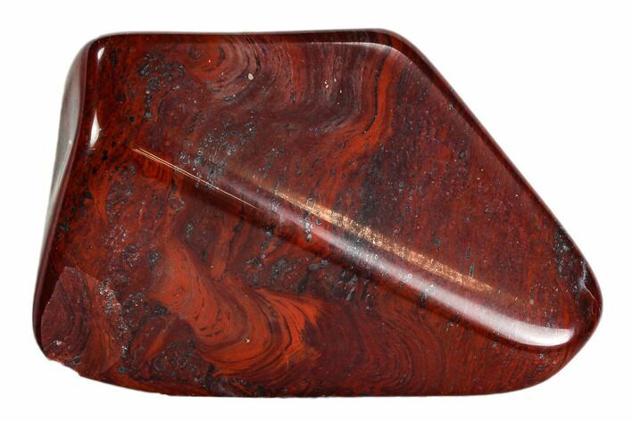 Bargain Polished Stromatolite (Collenia) - Minnesota #108568